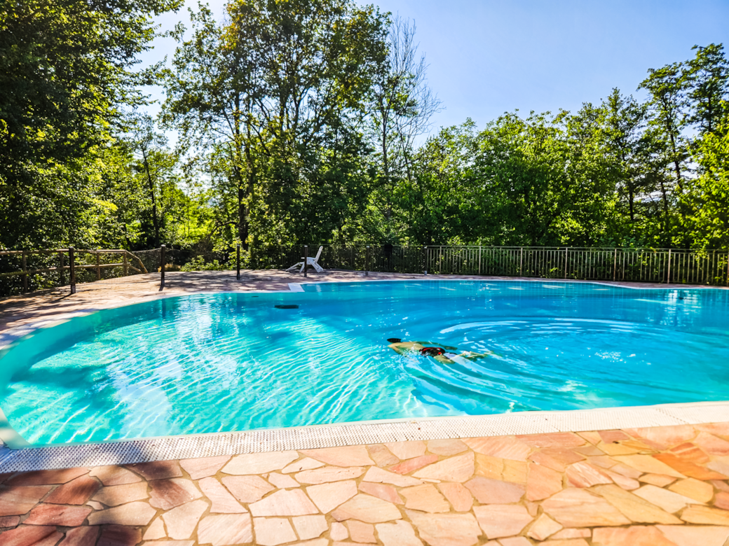 The magnificent swimming pool surrounded by greenery just a few steps away