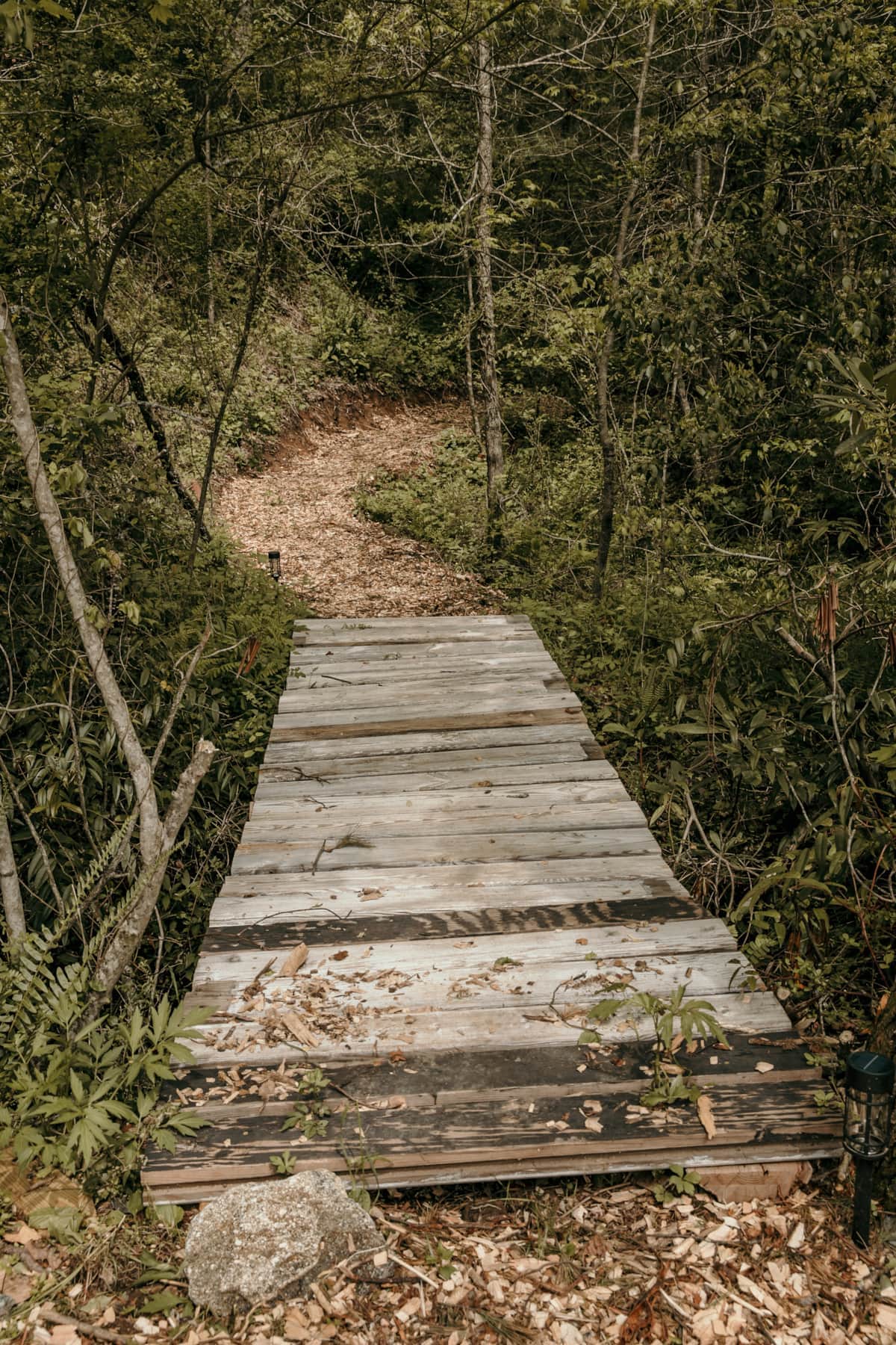 Hiking is also a good option