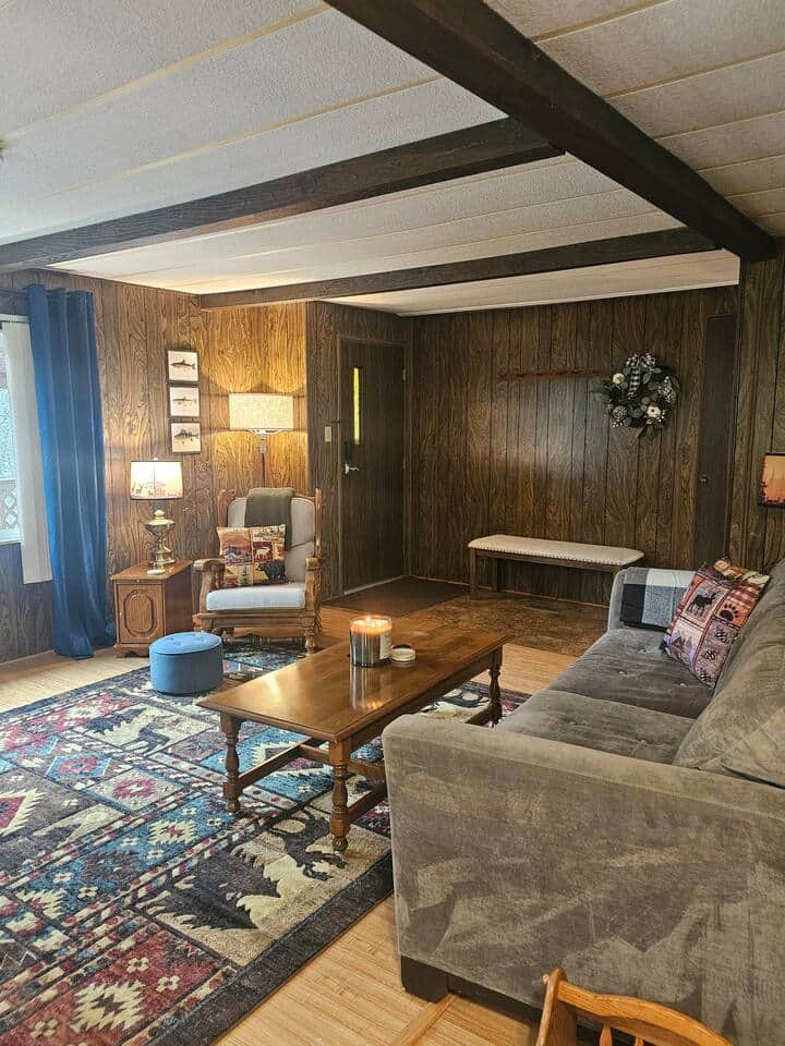 Rustic cabin vibes living room