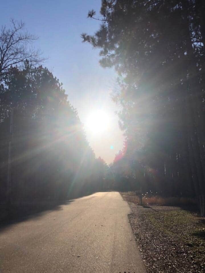 Stunning view taking a walk down the road