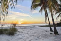 SUN SET BY THE SEA FMB