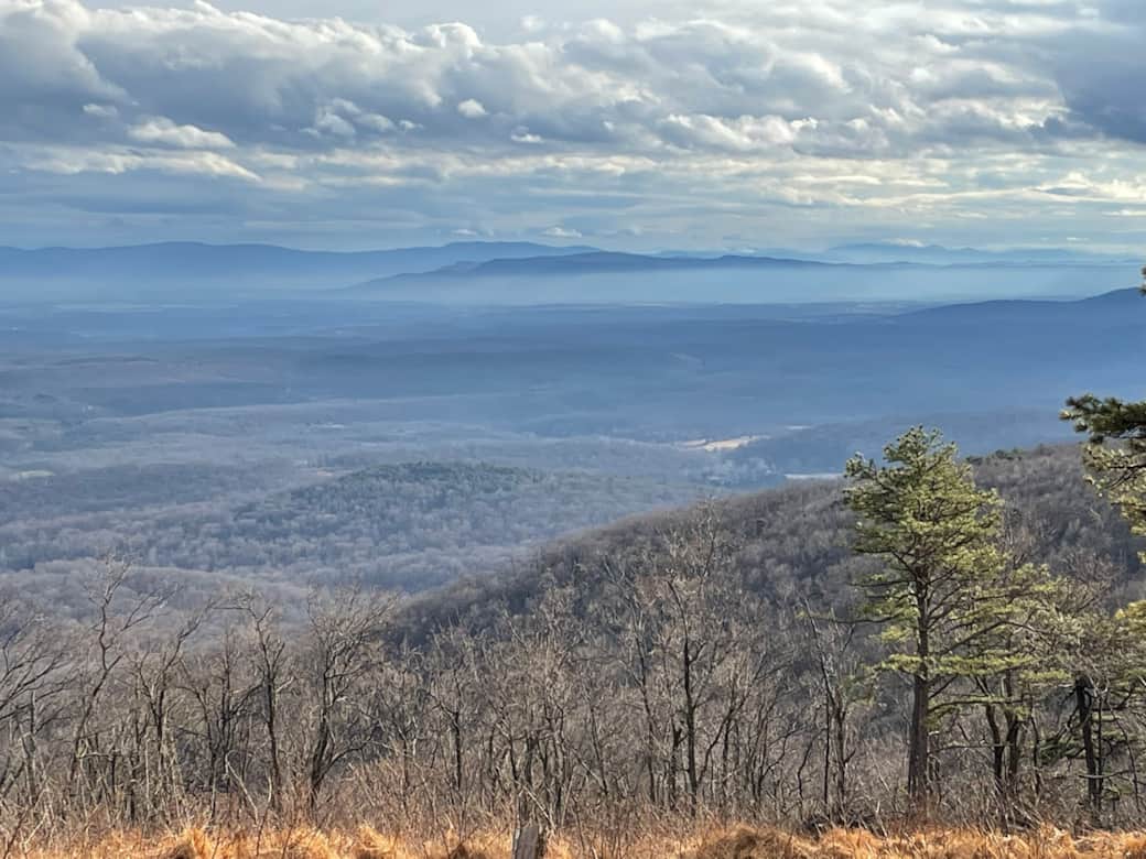 Fog in the roling hills