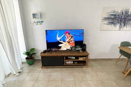 Televisor Sala / Living TV Televisor Sala / Living TV