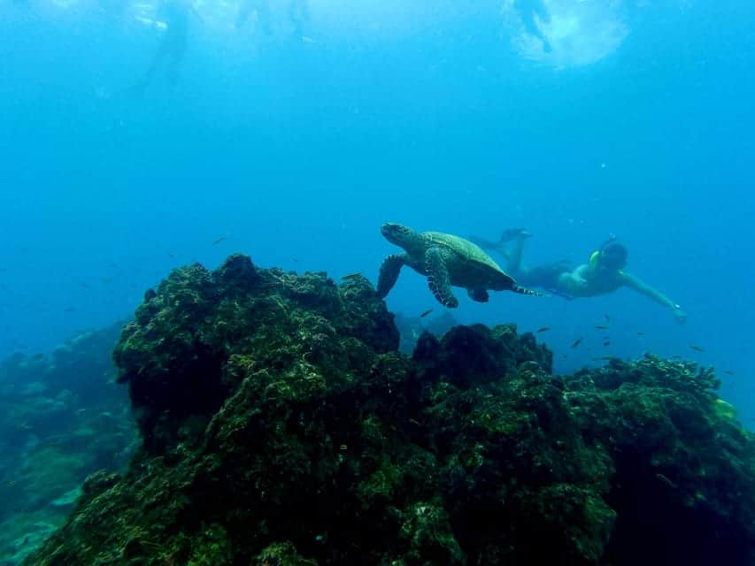Snorkeling Tour Cano Island