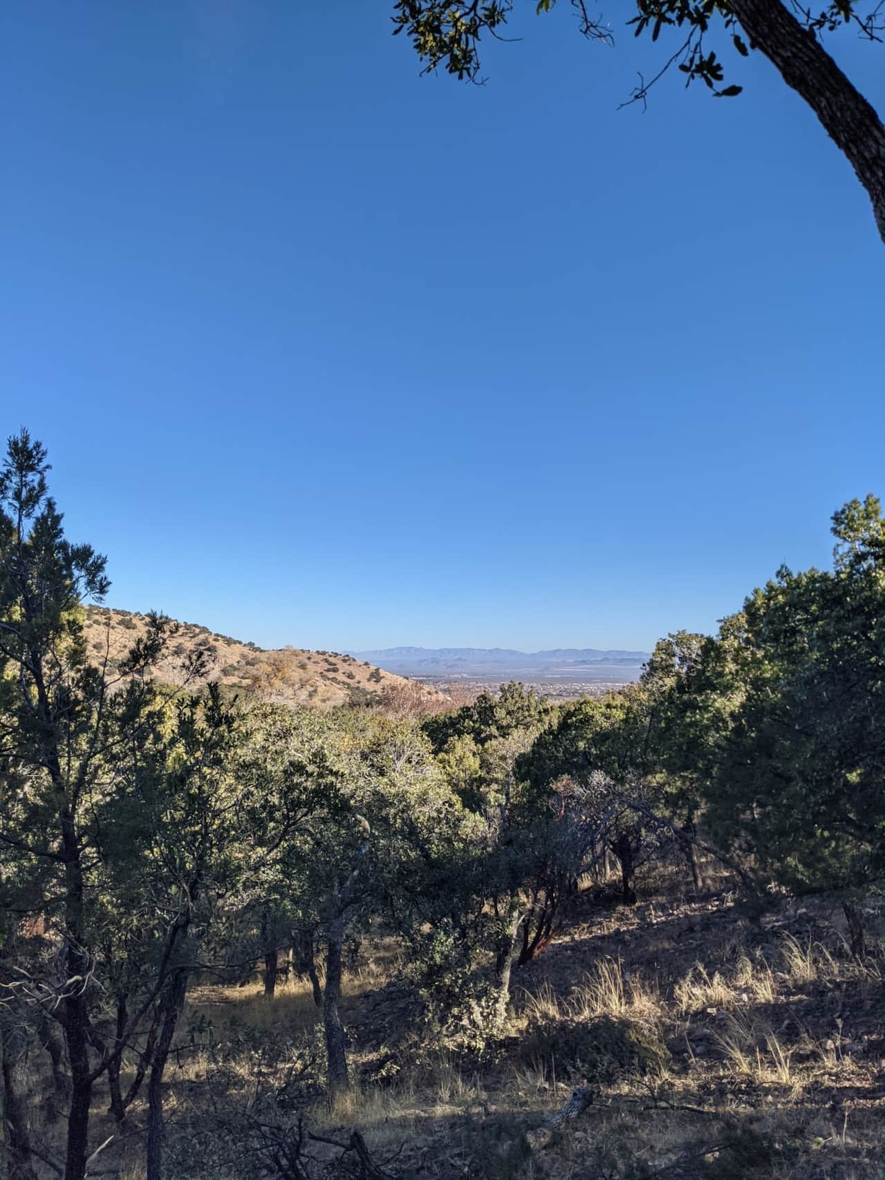 Views of Sierra Vista valley, and Dragoon Mountains in the distance from Valley View trail.