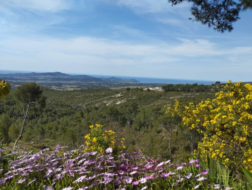 Vue Baie de la Ciotat