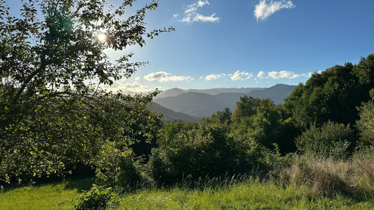 panorama
