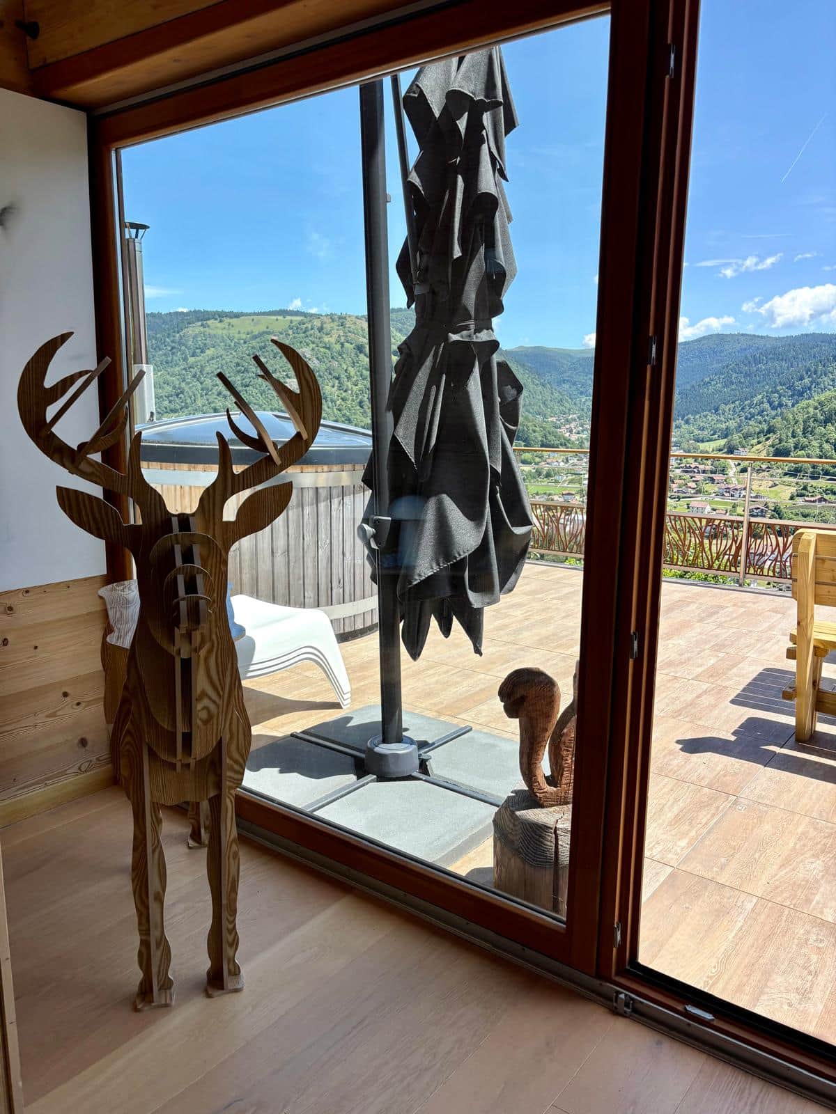 Le cerf noir : bain finlandais, vue montagne, 8p à La Bresse