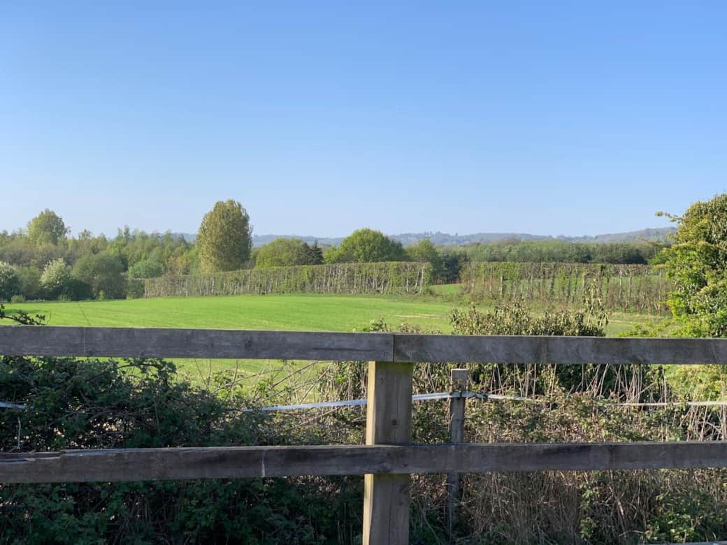 Views of  surroundings