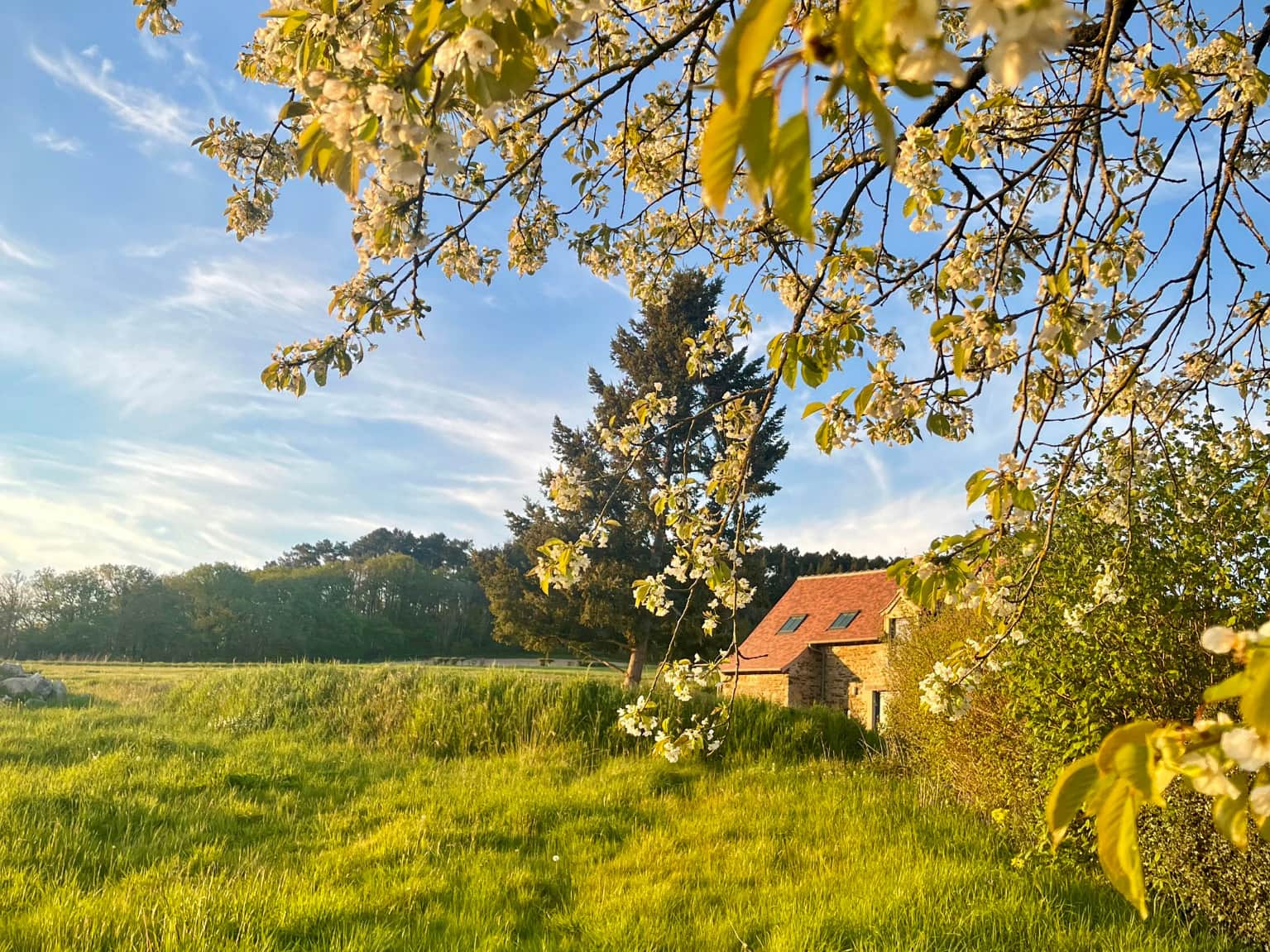 The little barn, hidden in the landscape of the Alpes Mancelles