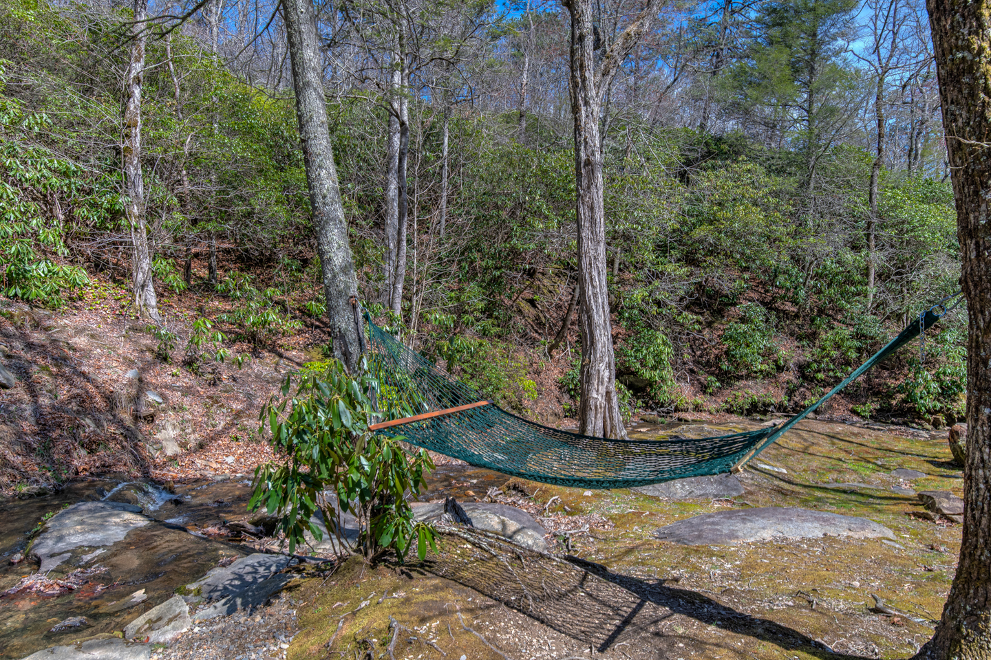Creekside