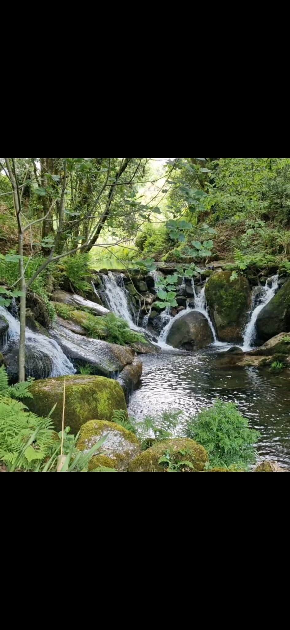 Waterfalls just 1km walk