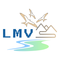 LMV