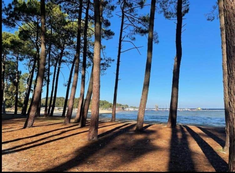 https://l.icdbcdn.com/oh/bb291ed6-3de9-426c-9b13-e2c8f0110818.jpg?w=2080-11