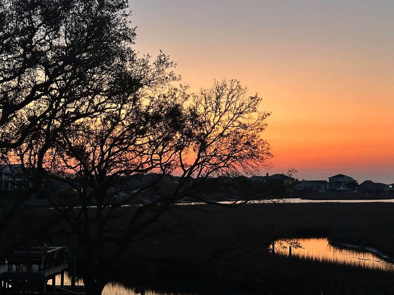 Creekside Sunset