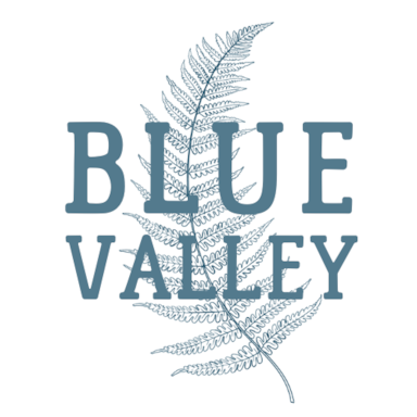 Blue Valley Properties