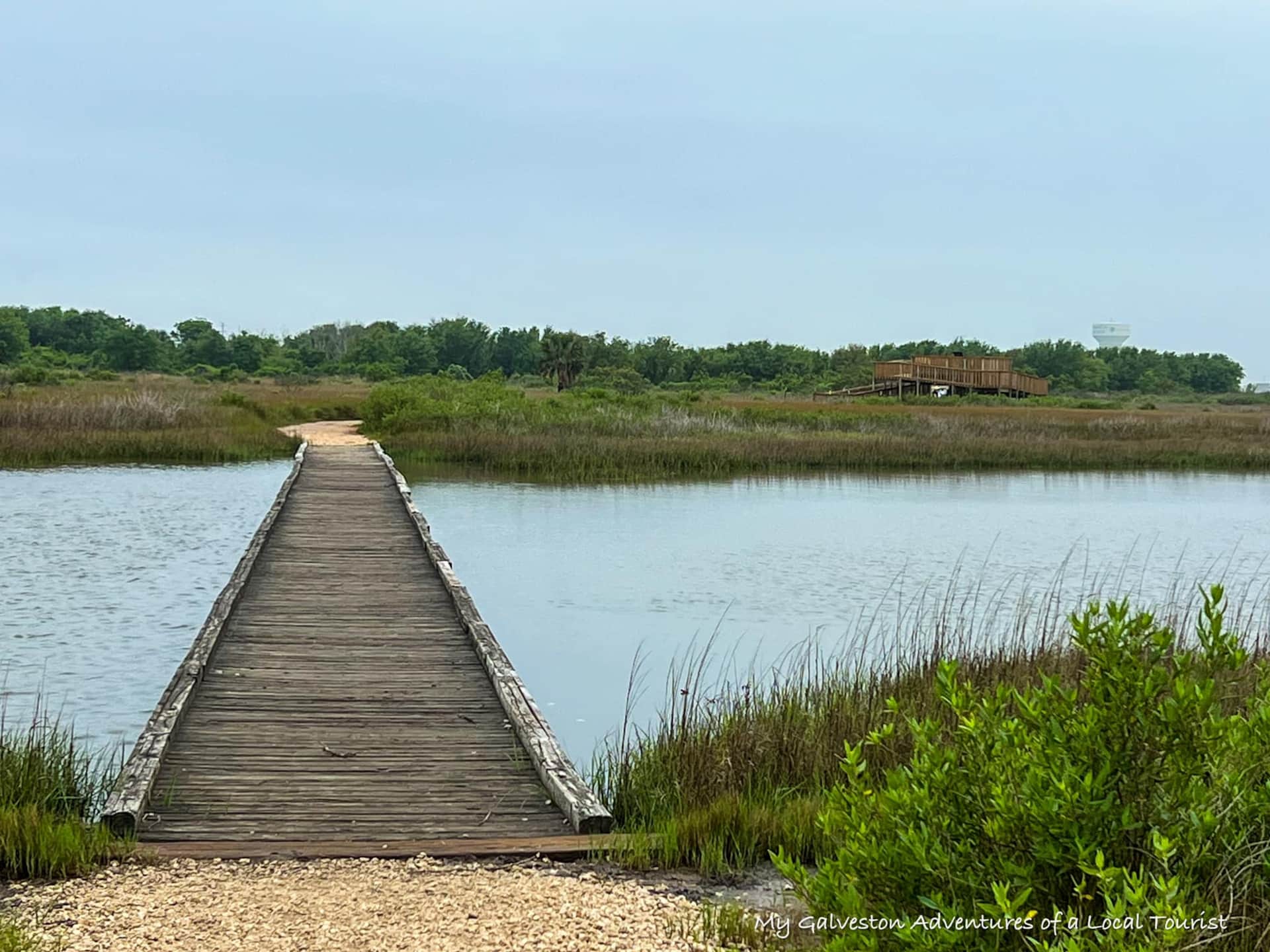 Galveston Island State Park with coastal trails and nature views