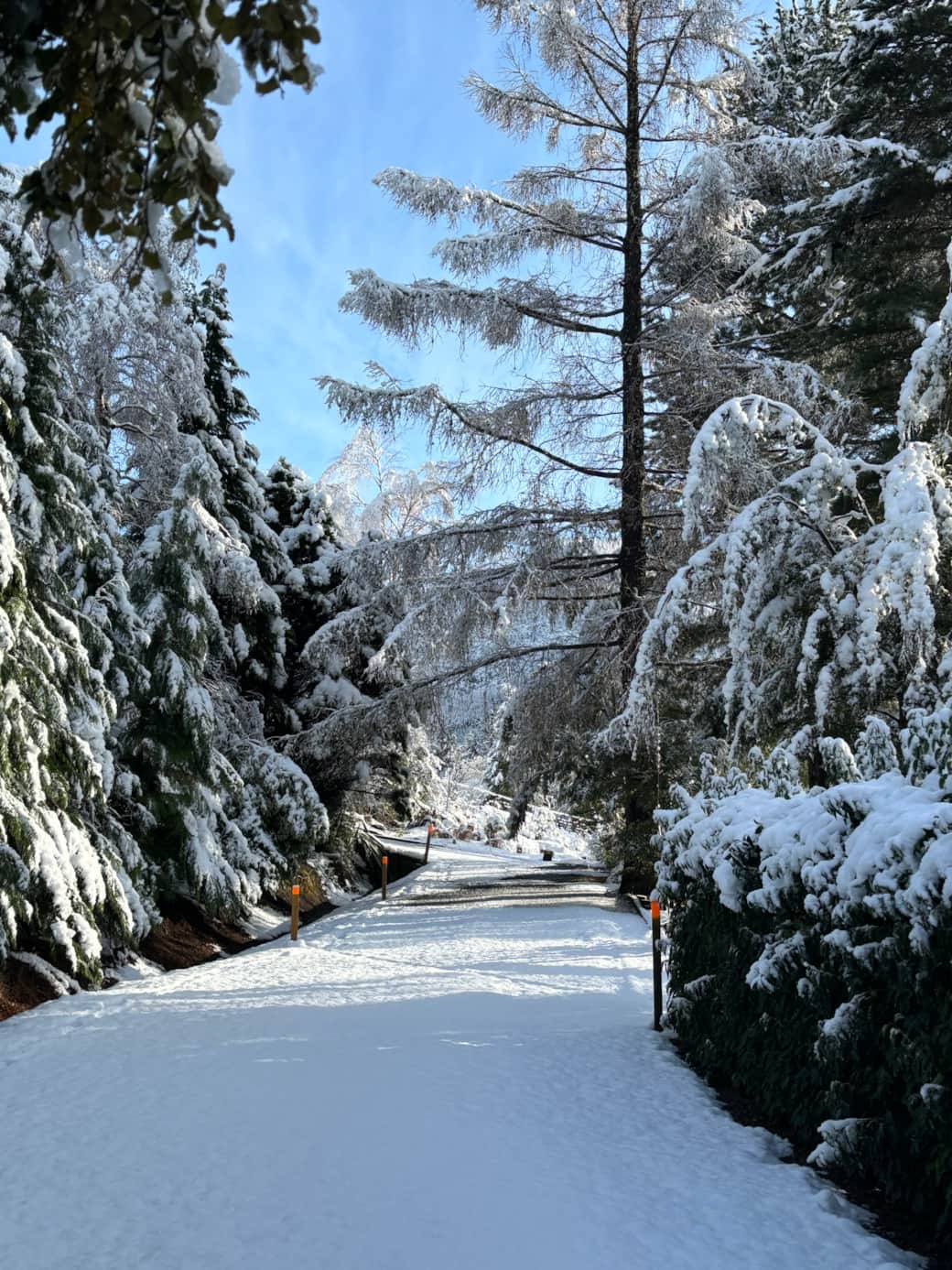 Driveway from cottage to road Driveway from cottage to road