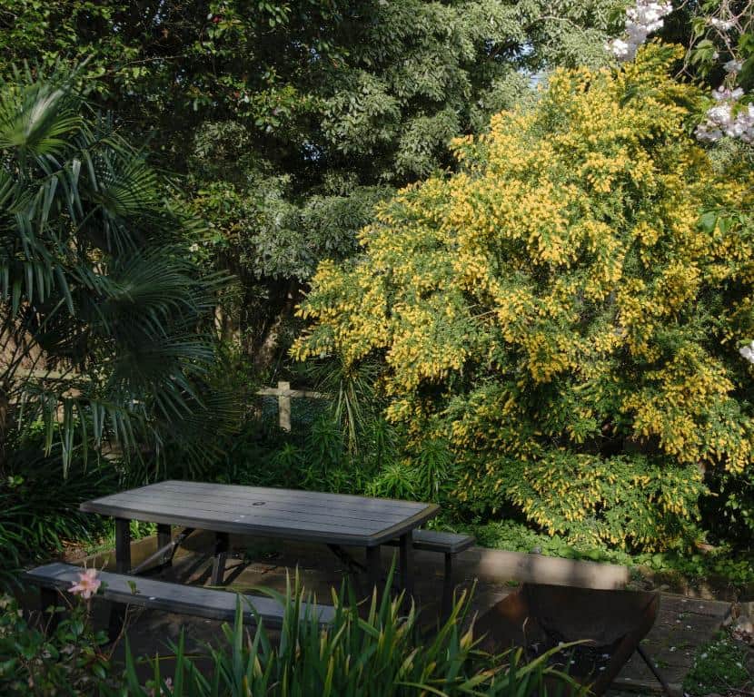 Picnic area