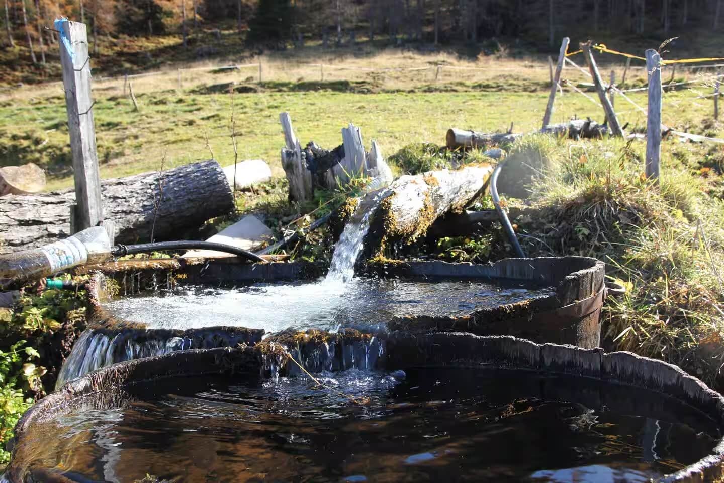 Offline ist der neue Luxus - Entschleunigung auf der Alm.