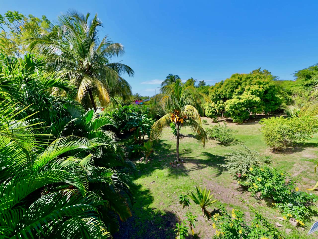 Le jardin en contrebas (partagé avec le gîte à côté)