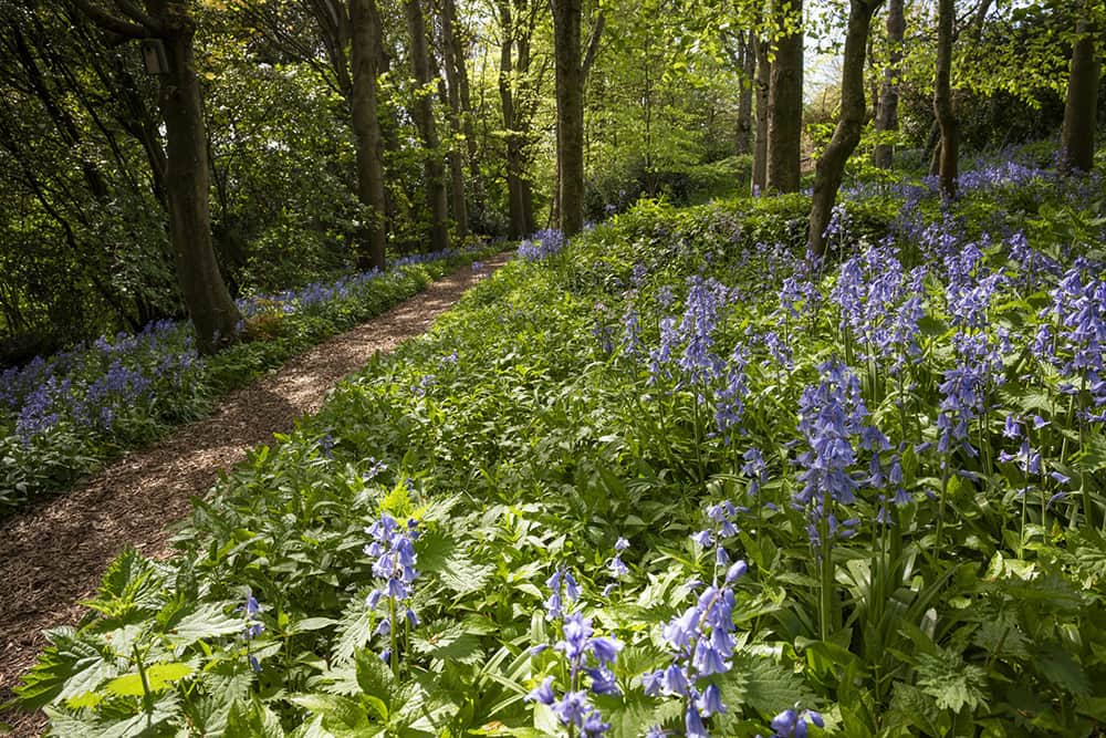 High Down Gardens.jpg