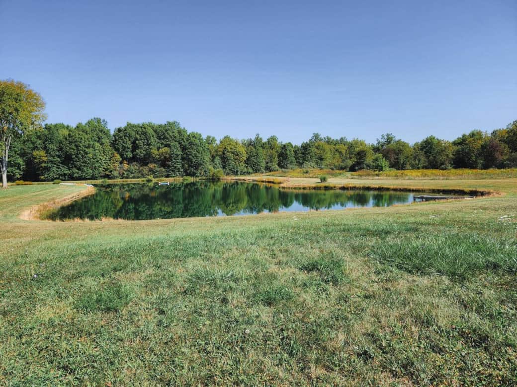 We have a variety of birds and wildlife visit our quiet little sanctuary. If you like to fish, throw in a line for some wide mouth bass, blue gill or catfish. Catch and release only please.