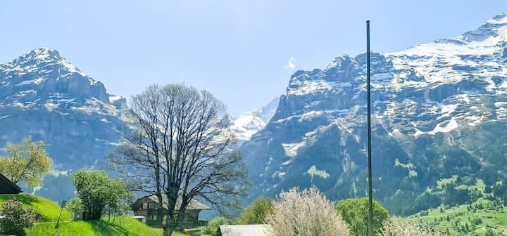 Apartment Bussalp