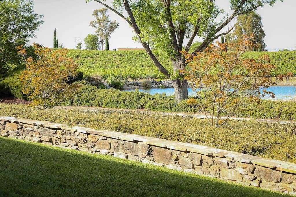 Vineyard and Pond View from Front Patio Vineyard and Pond View from Front Patio