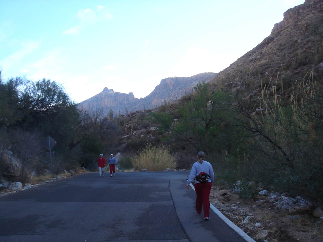 Sabino Canyon Trail