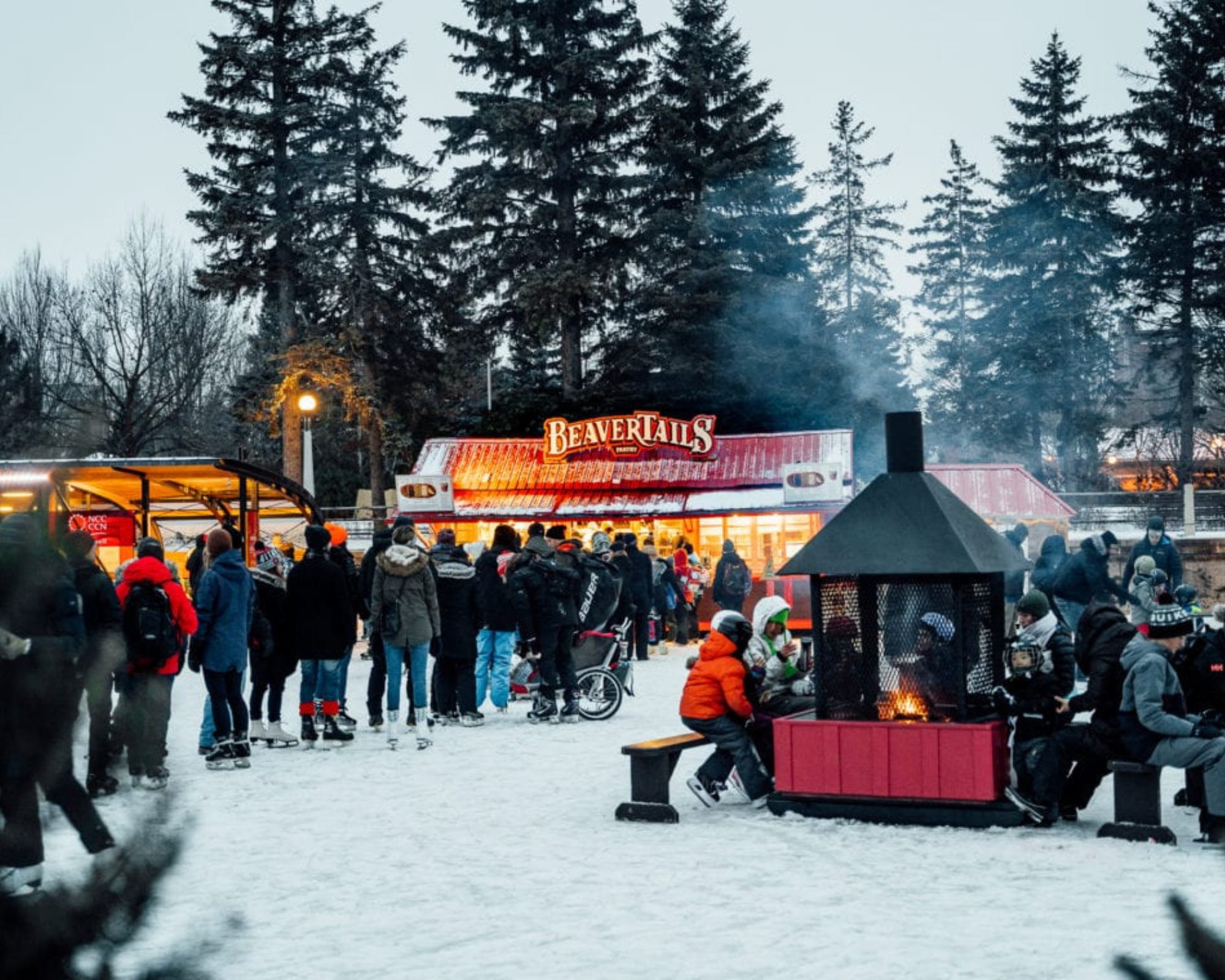 Cinq Activites A Faire Pendant Bal De Neige Cinq Activites A Faire Pendant Bal De Neige