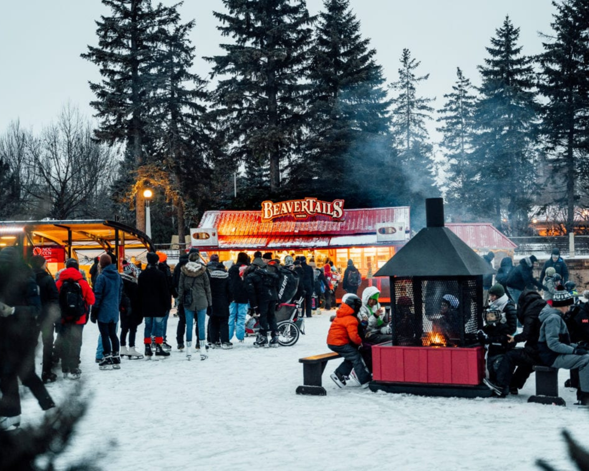 Auberge Tom B&B - Bal de neige - Canal Rideau - Station cinquième rue - Ottawa