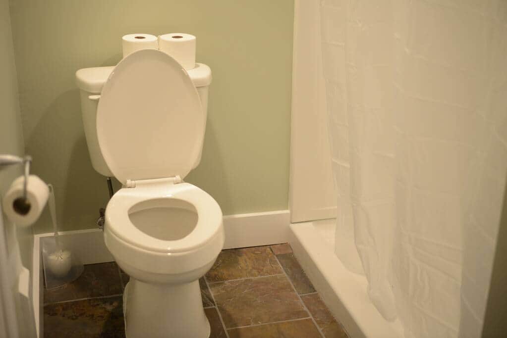 Lower Level bathroom