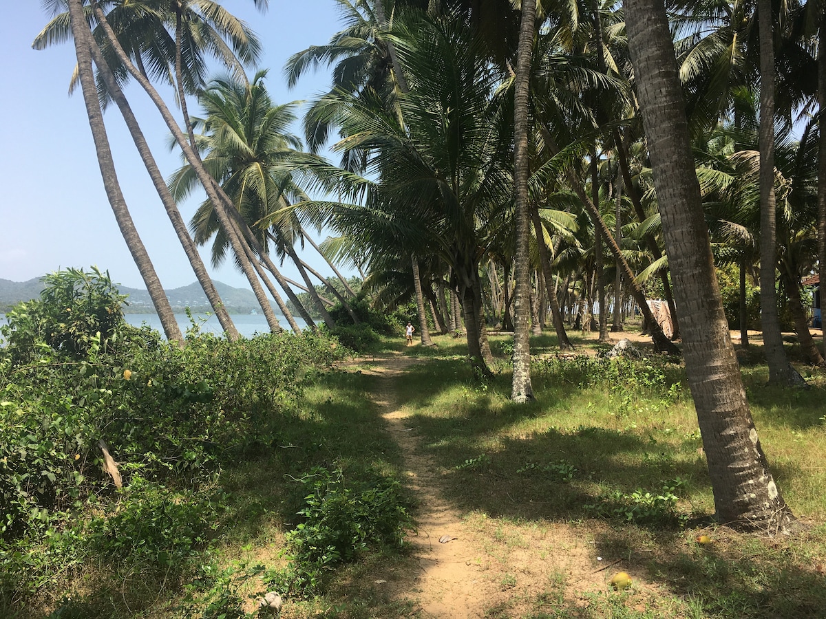 The Peacock House - Island Retreat, photo 13