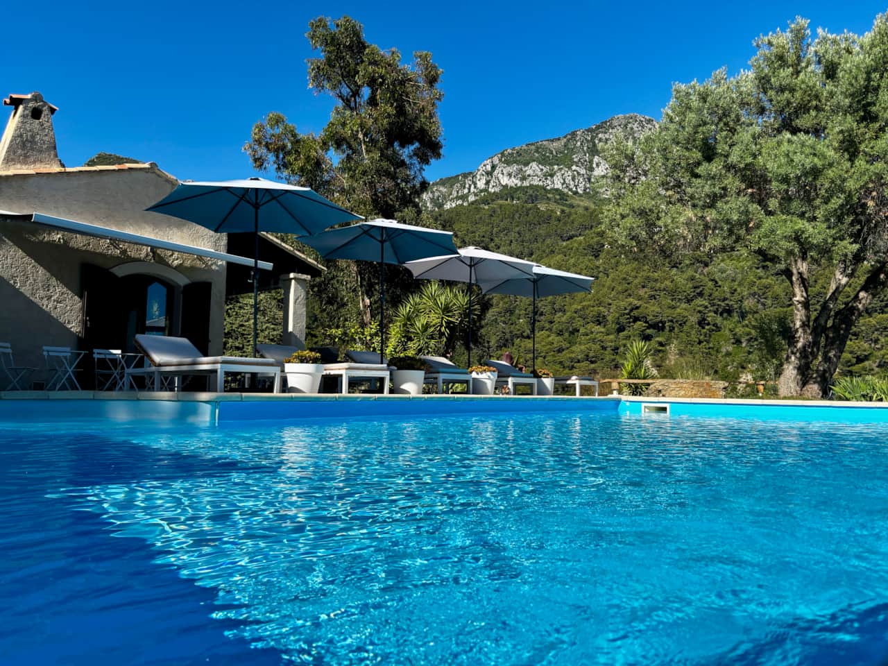 Welcome to Villa Monti...
