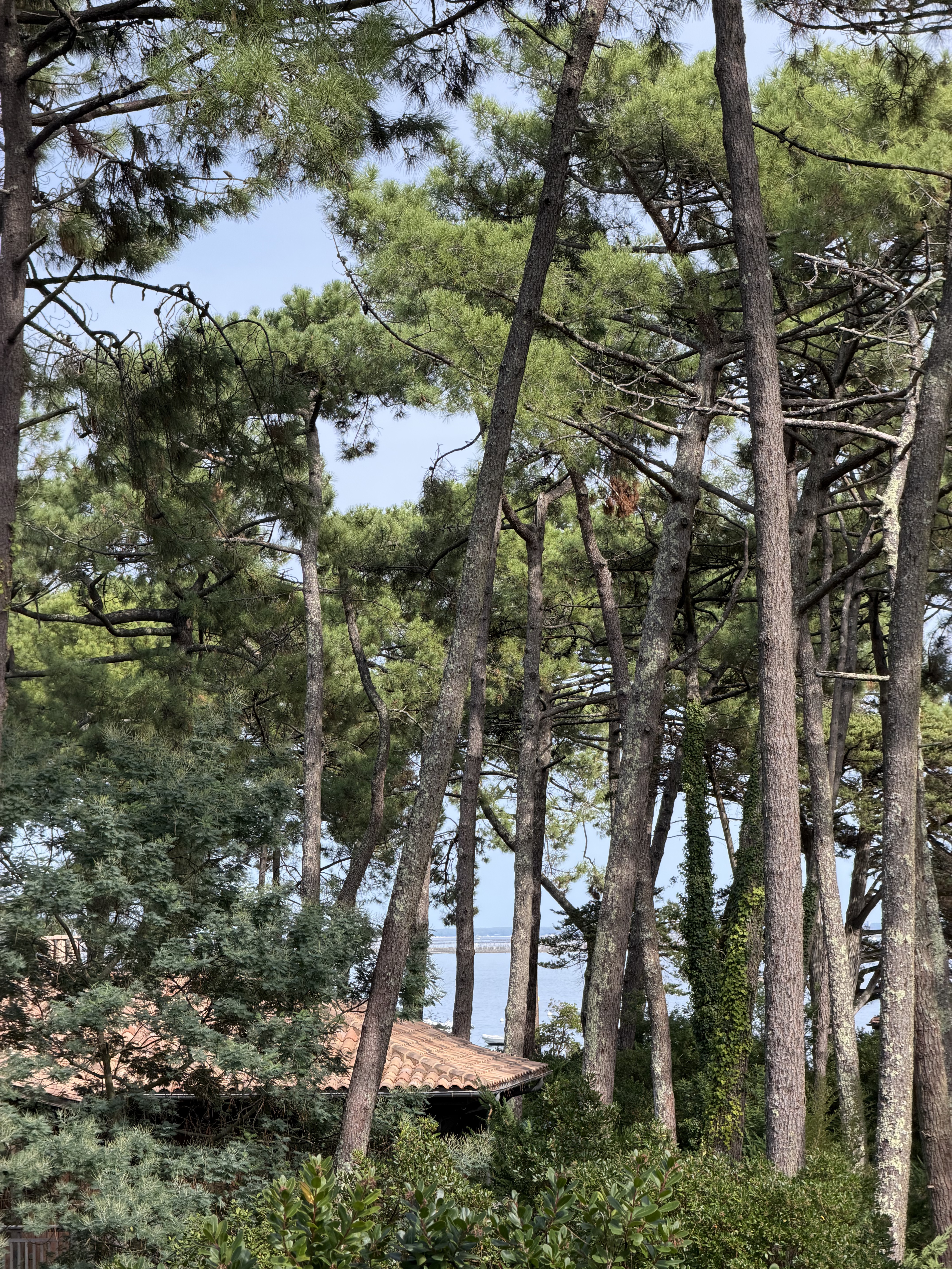 Villa Pia