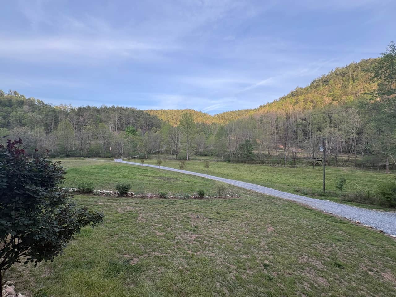 Front Porch View