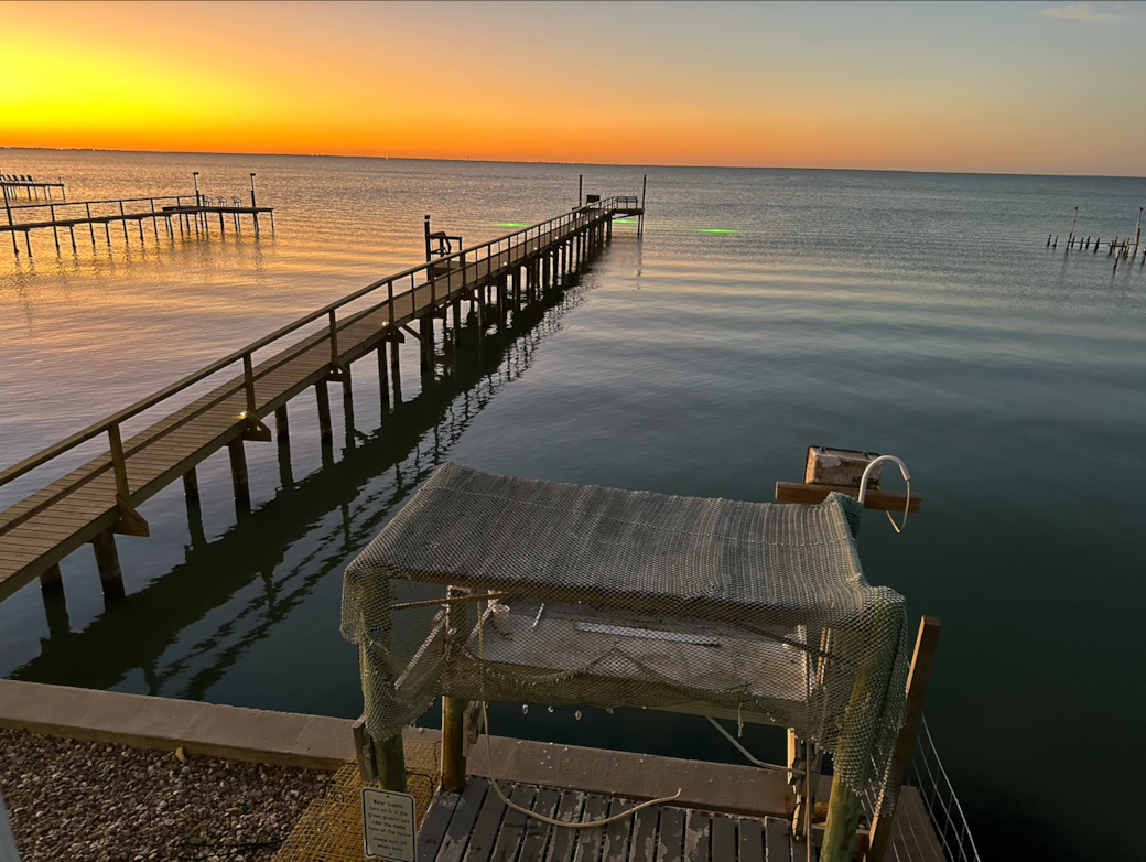 Fishing pier and cleaning station