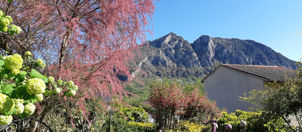 Vue Montagne du Saudour depuis le clos