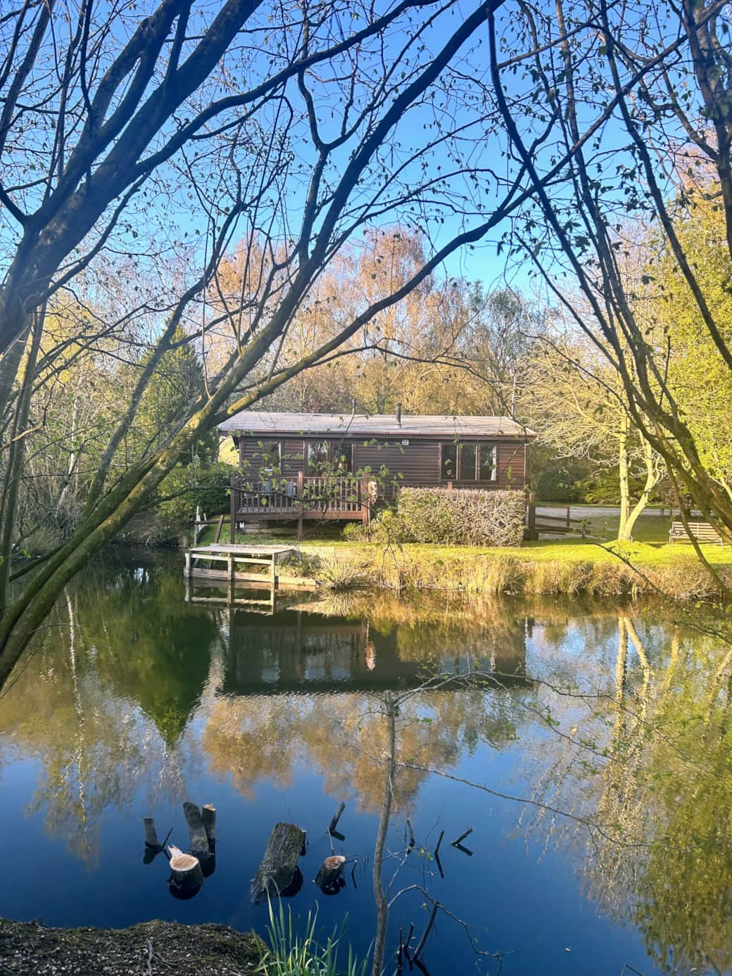 Looking from across the lake