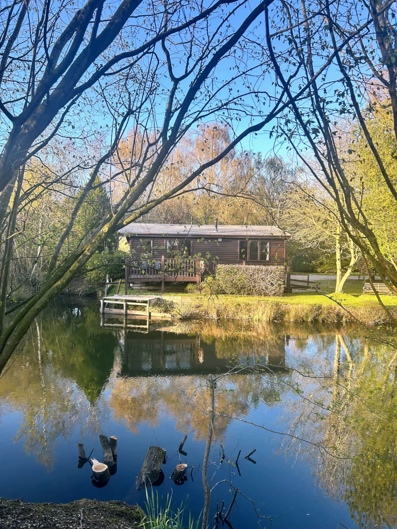 Looking from across the lake