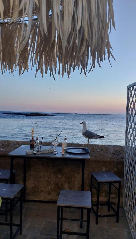 Alaka Holiday Home · foto 5