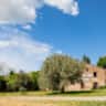 Immagine dell'alloggio