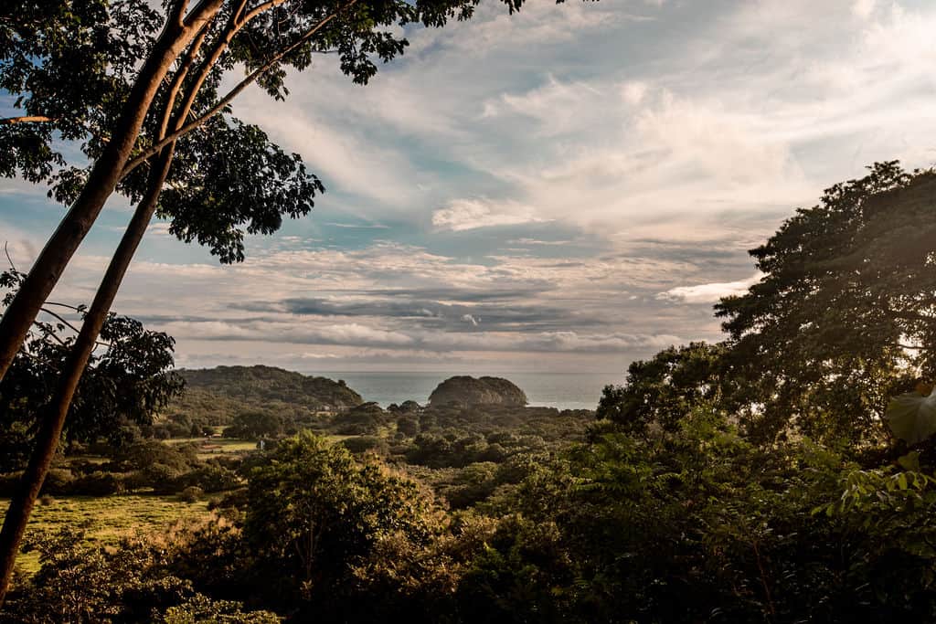 View from the Tiny Home Samambaia
