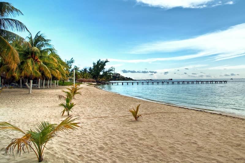 Palm-lined beach and waterfront at Playa Lancheros