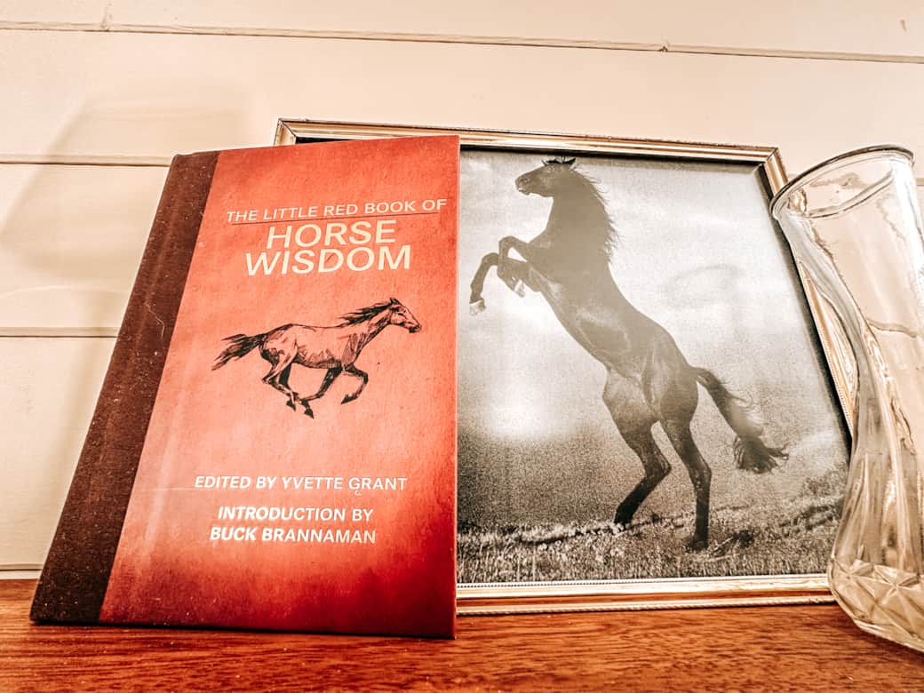 Great Reads