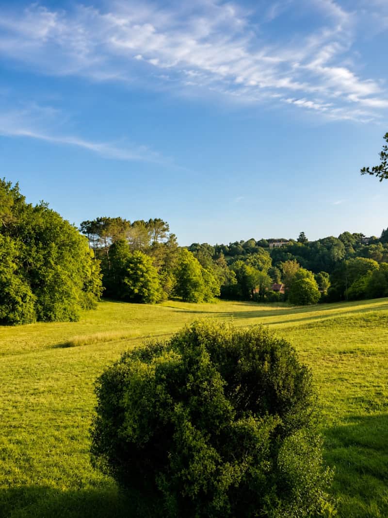 Gardens and natural surroundings at Larroque Haute