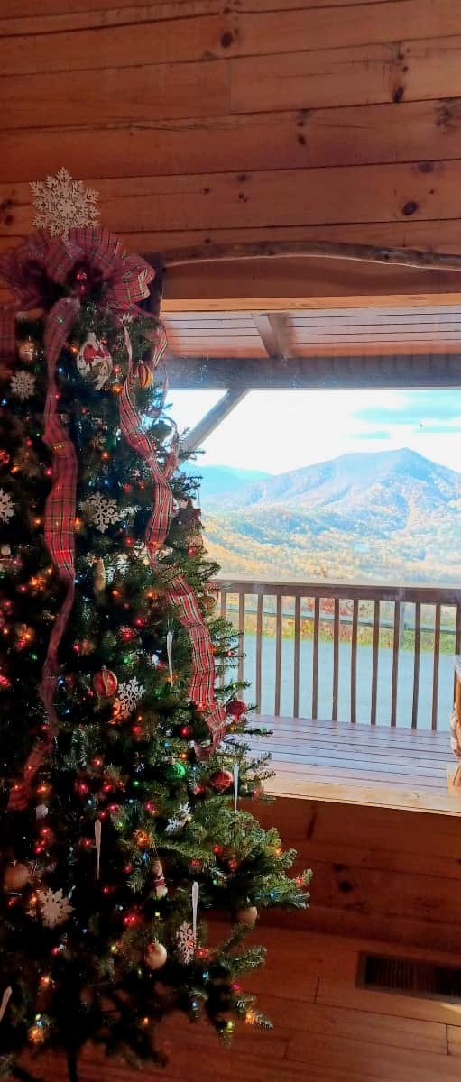 Christmas Tree with View
