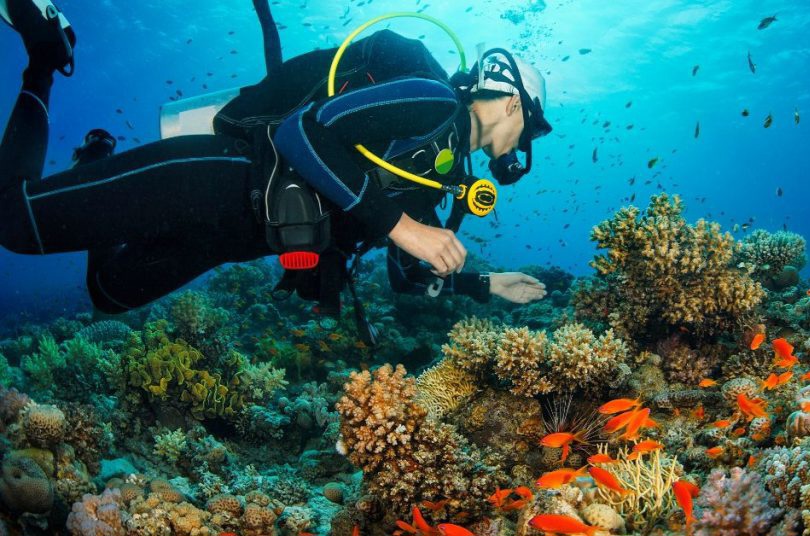 cSubmarinismo