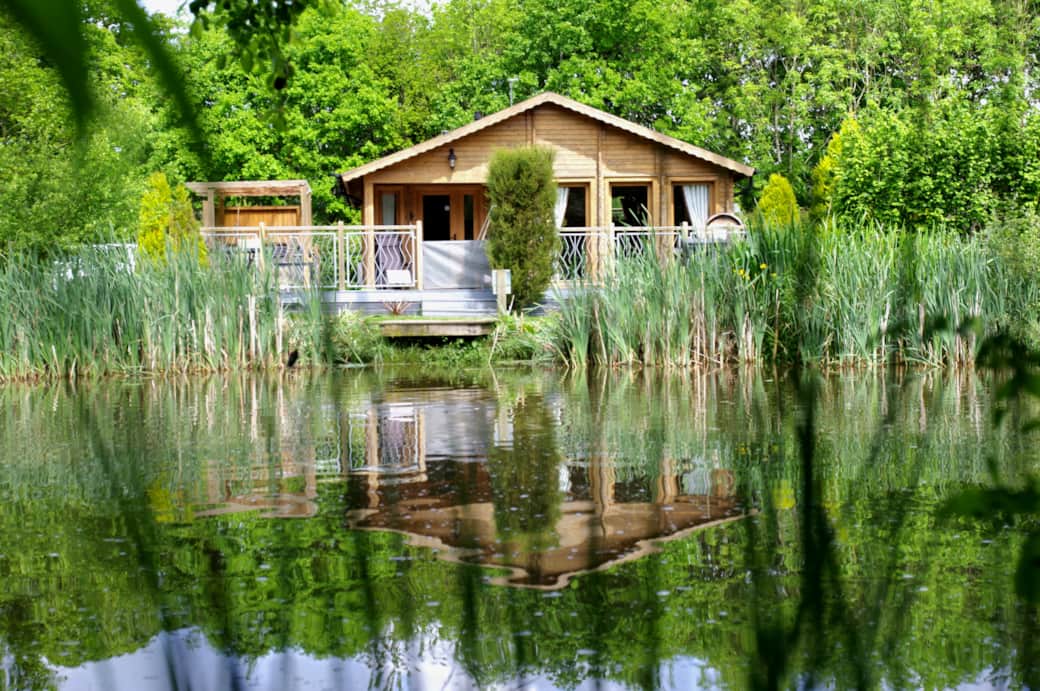 View from the pond 